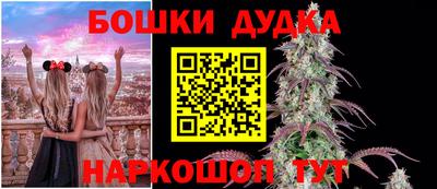 дмт Дубна