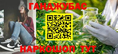 дмт Дубна