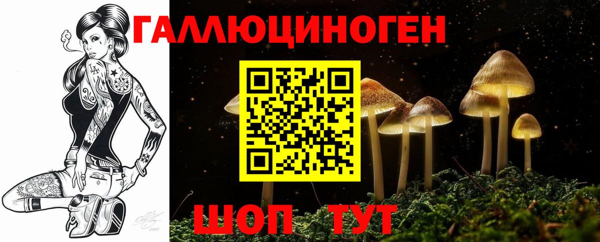 Москва  Псилоцибиновые грибы Psilocybe  Вход с VPN 